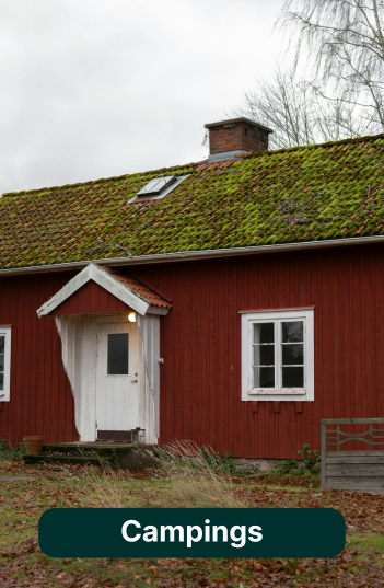 Festivals & Concerts